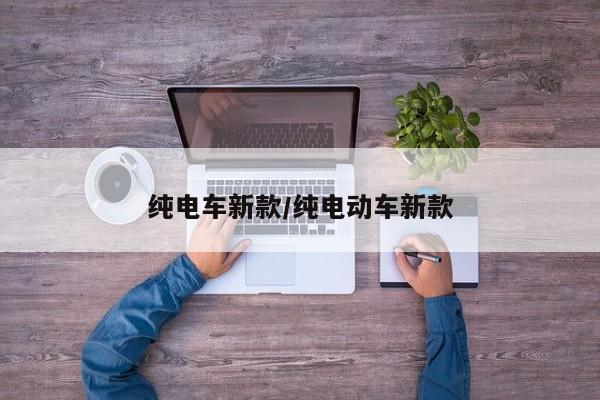 纯电车新款/纯电动车新款