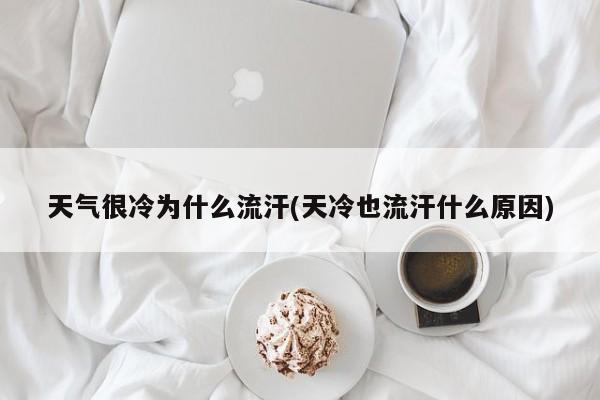 天气很冷为什么流汗(天冷也流汗什么原因)