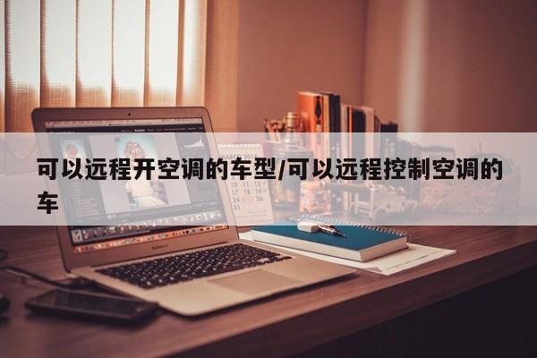 可以远程开空调的车型/可以远程控制空调的车