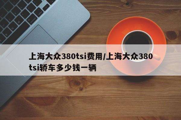 上海大众380tsi费用/上海大众380tsi轿车多少钱一辆