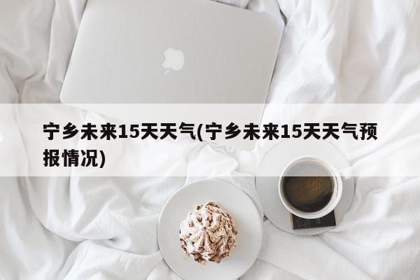 宁乡未来15天天气(宁乡未来15天天气预报情况)