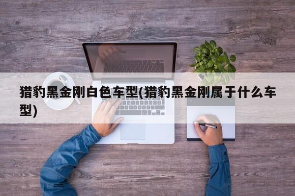 猎豹黑金刚白色车型(猎豹黑金刚属于什么车型)
